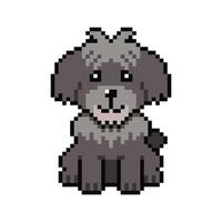 Pixel art shih tzu dog in retro style for design. vector