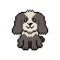 Pixel art cute shih tzu dog in retro style for design. vector