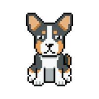 Pixel art cute basenji dog in retro style for design. vector