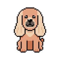 Pixel art afghan hound dog in retro style for design. vector