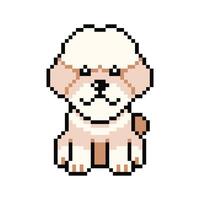 Pixel art cute poodle dog in retro style for design. vector