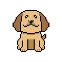 Pixel art labrador retriever dog in retro style vector
