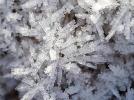 Ice crystals on a frosty morning photo