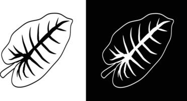 A digitally drawn leaf design illustrated in black and white with intricate vein details and stylized contours against contrasting backgrounds for artistic appeal vector