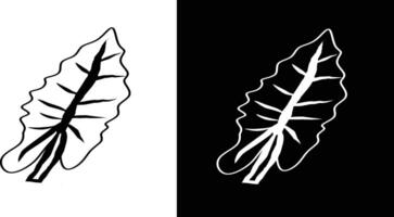A digitally drawn leaf design illustrated in black and white with intricate vein details and stylized contours against contrasting backgrounds vector