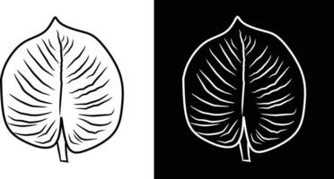 A digitally drawn leaf design illustrated in black and white with intricate vein details and stylized contours against contrasting backgrounds for artistic appeal. vector