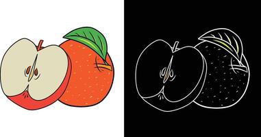 Detailed artwork of an apple and an orange displayed in color and outline against contrasting backgrounds, highlighting the vibrancy and simplicity of fruit illustrations. vector