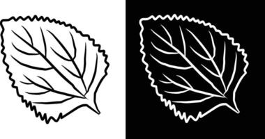 A digitally drawn leaf design illustrated in black and white with intricate vein details and stylized contours against contrasting backgrounds for artistic vector