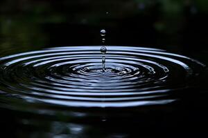 Aesthetic Water Droplet Ripples in Tranquil Setting for Nature Art and Design photo