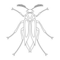 Coloring book of grasshopper beetle vector