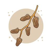 Ripe dried dates fruits cartoon illustration icon mascot symbol on branch with flat style concept vector