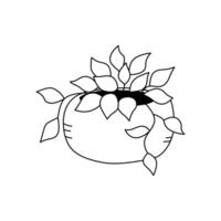 An ornamental potted houseplant. Illustration in doodle style. Isolate on a white vector