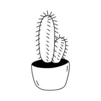 Illustration of a Trichocereus in the doodle style. Isolate on a white background vector