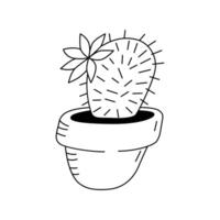 Illustration of a Mammillaria in the doodle style. Isolate on a white background vector