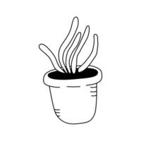 Illustration of a houseplant in the doodle style. Isolate on a white background vector