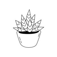 Illustration of a Gasteria in the doodle style. Isolate on a white background vector
