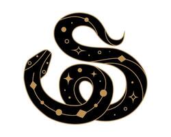 Mystical black snake silhouette with golden elements vector
