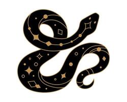 Mystical black snake silhouette with golden elements vector