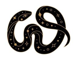 Black snake with golden mystical elements vector
