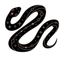 Black snake silhouette with golden mystical elements vector