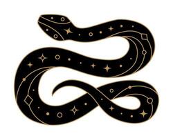Black snake with golden mystical elements vector