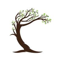 Tree leaf logo template flat design vector