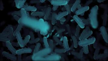 Close up, microscopic view of infectious bacteria cells flowing towards the camera. Ideal for projects related to microbiology, healthcare and science. Full HD and looping medical background. video