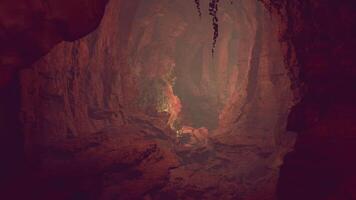 A serene cave filled with lush trees and scattered rocks video