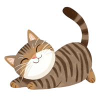 Purrfect Cat Pose isolate on transparent backgorund. png