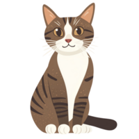 Paws and Smiles isolate on transparent backgorund. png