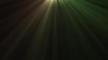 Finely structured light beams animated in different colors animated on a black background. video