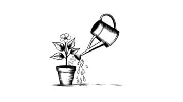 Animation forms a sketch of an icon of a person watering plants video