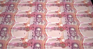 Banknotes of twenty pulas of Botswana, cash money, loop video