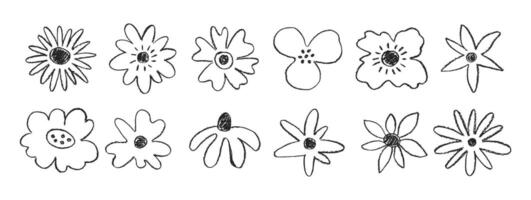 Collection of summer or spring flowers with wax or crayon texture. Grunge doodle illustration painted with pastels. vector