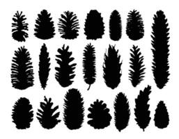 Set silhouettes of cones coniferous trees. vector