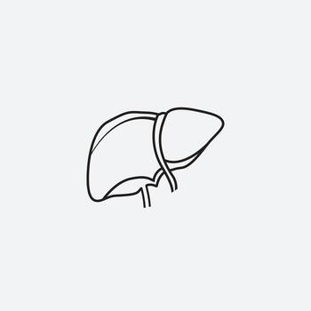 Human liver icon web design in , Single continuous line art vector