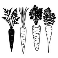 Most Unique carrot silhouette art design. vector