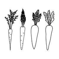 Unique carrot silhouette art design icon sets vector