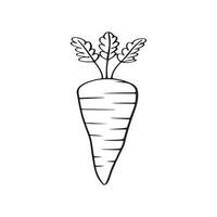 Healthy carrot single icon art design. vector