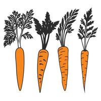Healthy carrot single icon art bundle design. vector