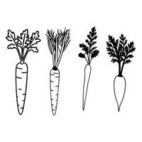 Unique carrot silhouette art four design. vector