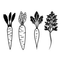 Unique bundle carrot silhouette art design. vector