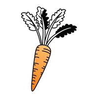 Unique carrot silhouette art free design. vector