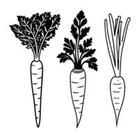 Three Unique carrot silhouette art design. vector