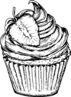 A delicious ink sketch of a cupcake topped with whipped cream and half a strawberry, drawn in black and white style. Perfect for baking designs, valentines and food-related creative projects. vector