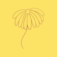 Florals and botanicals trendy creative charming abstract illustration colorful design vector