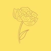 Florals and botanicals trendy creative cute abstract illustration colorful design vector