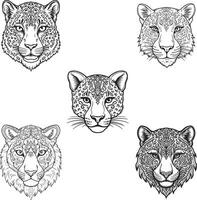 free set of tiger illustration file vector