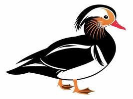 The Stunning Duck's Portrait vector