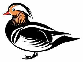 Colorful Duck on Illustration vector